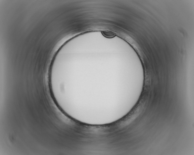 X0000113360803200910131259