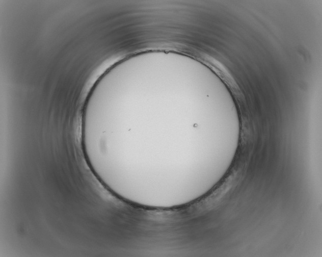 X0000113360804200910131259