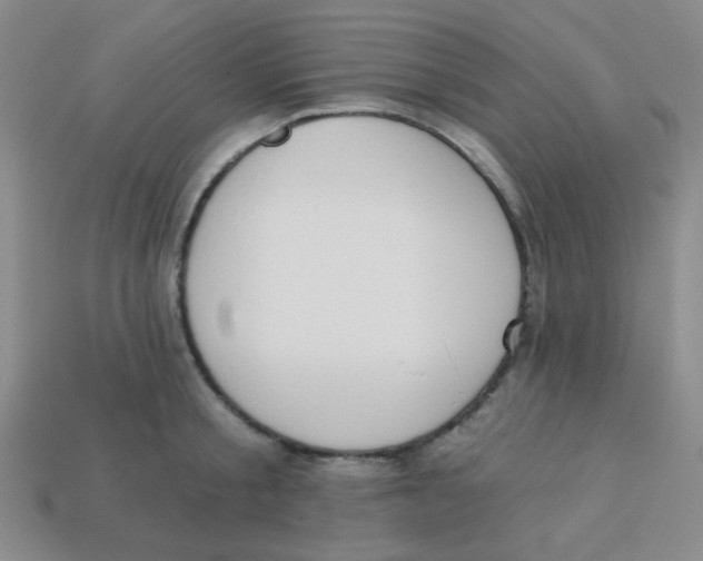 X0000113360805200910131259