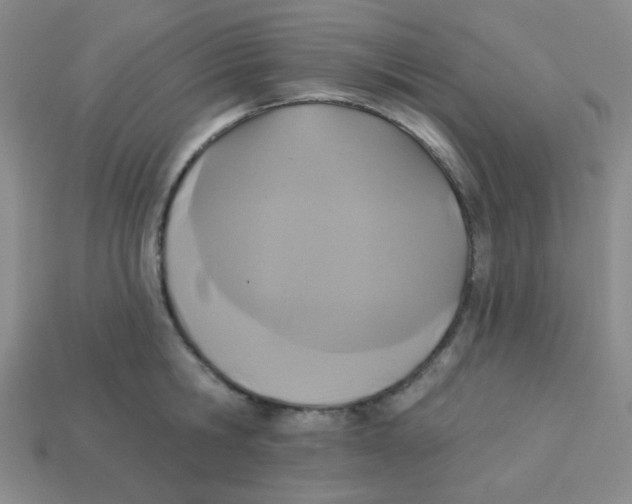 X0000113360806200910131259