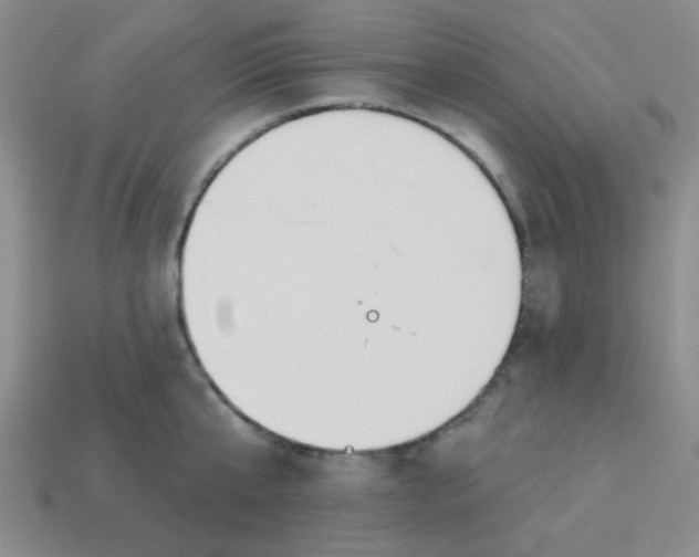 X0000113360807200910131259