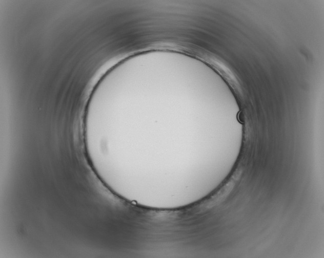 X0000113360808200910131259