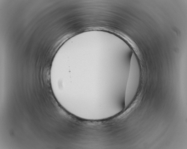 X0000113360809200910131259