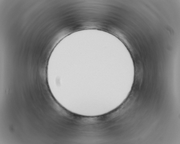 X0000113360810200910131259
