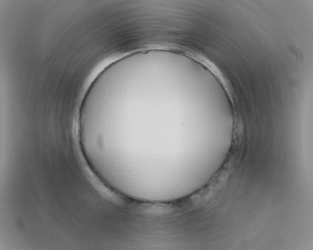 X0000113360811200910131259