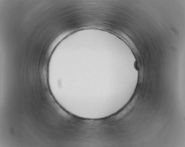 X0000113360812200910131259