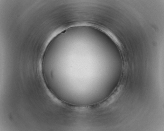 X0000113360813200910131259
