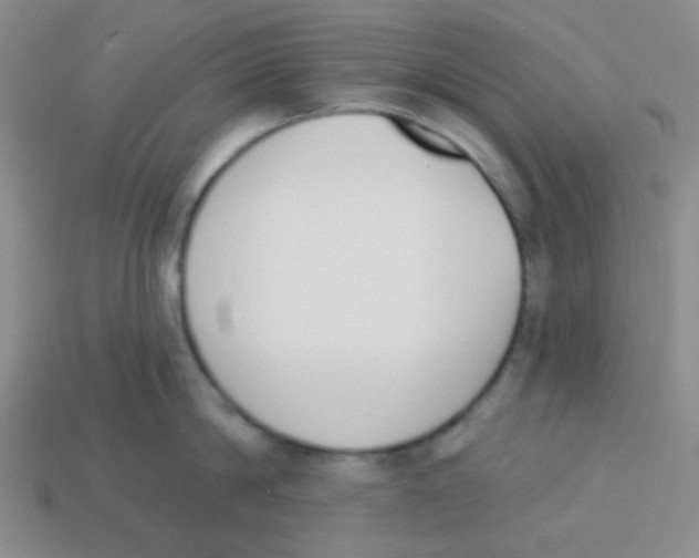 X0000113360814200910131259