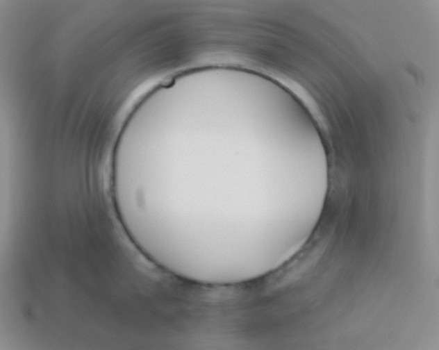 X0000113360815200910131259