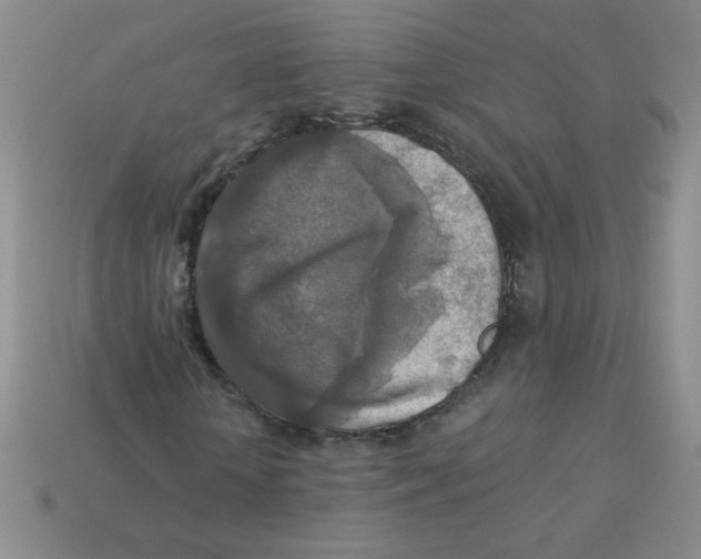 X0000113360818200910131258