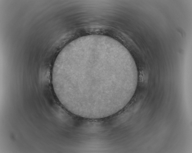 X0000113360820200910131258