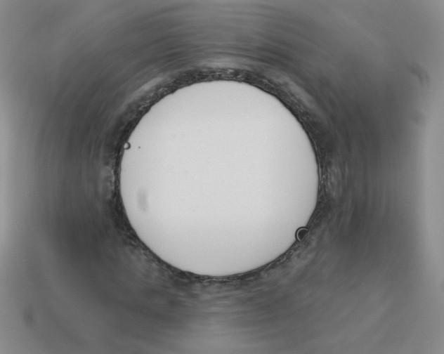 X0000113360821200910131258