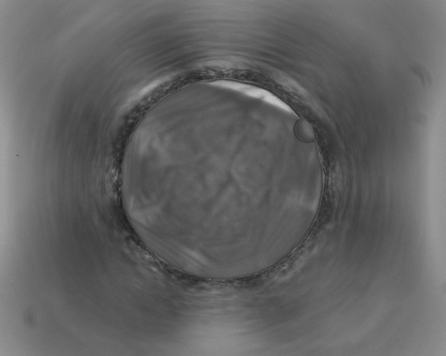 X0000113360822200910131258