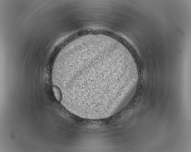 X0000113360823200910131258