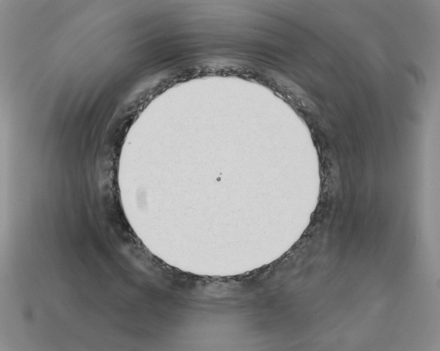 X0000113360824200910131258