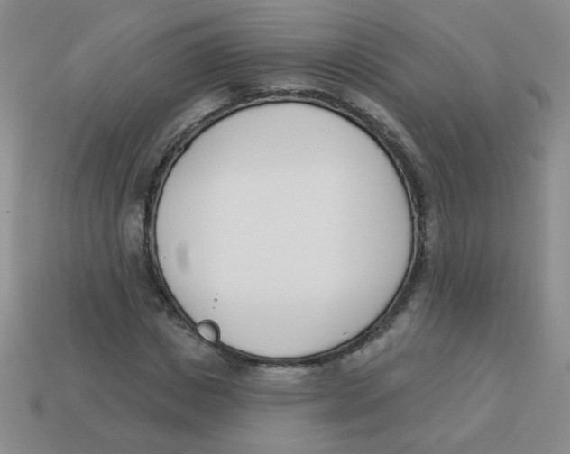 X0000113360825200910131258