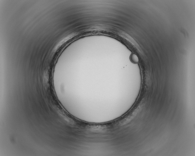 X0000113360826200910131258