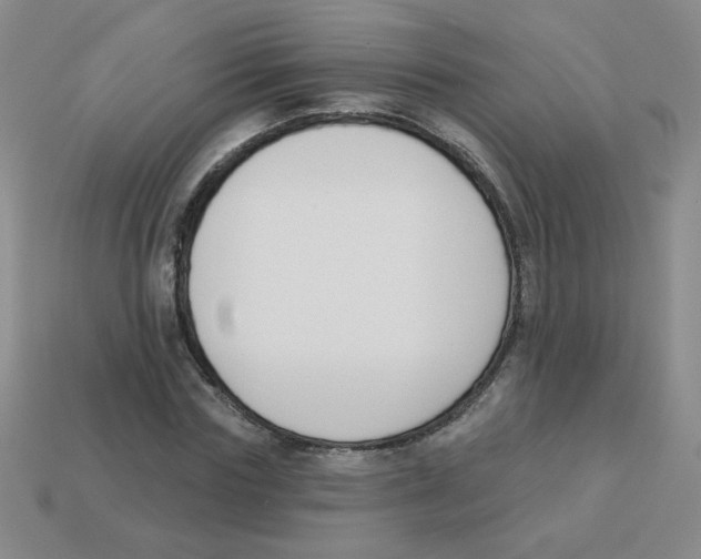 X0000113360827200910131258