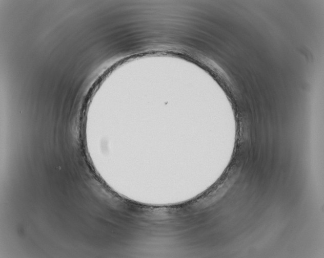 X0000113360828200910131258