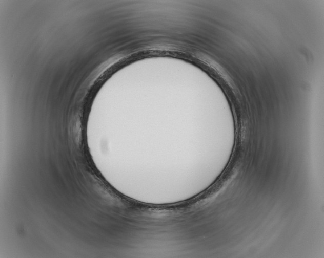 X0000113360829200910131258