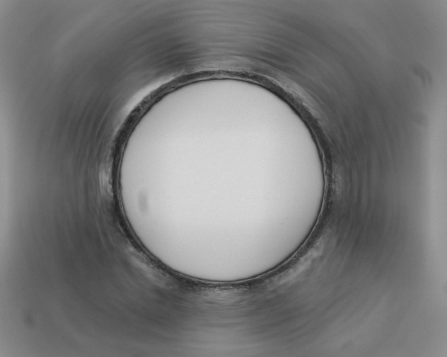 X0000113360830200910131258