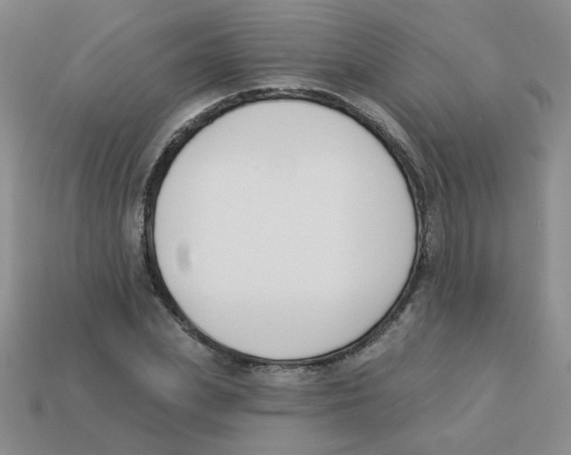 X0000113360831200910131258