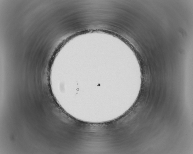 X0000113360832200910131258