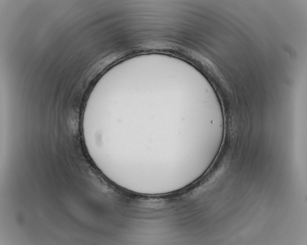 X0000113360833200910131258