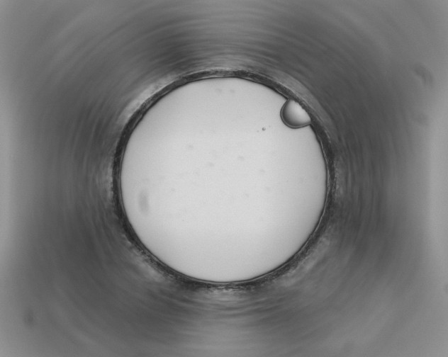 X0000113360834200910131258