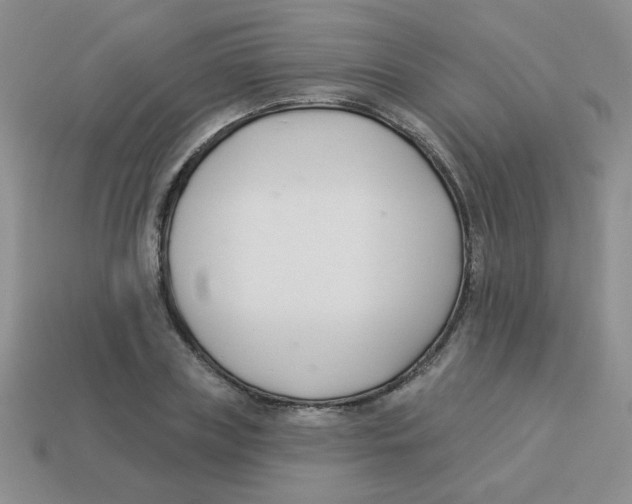 X0000113360835200910131258