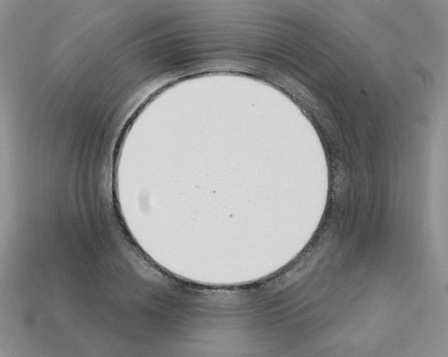 X0000113360836200910131258