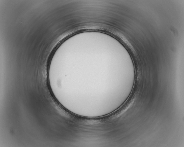 X0000113360837200910131258