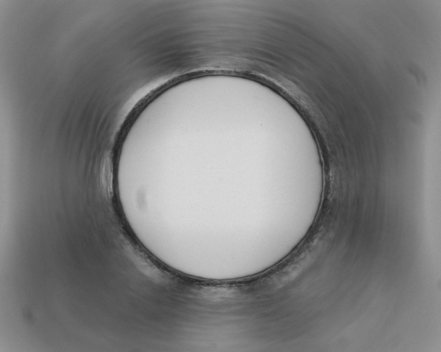 X0000113360838200910131258