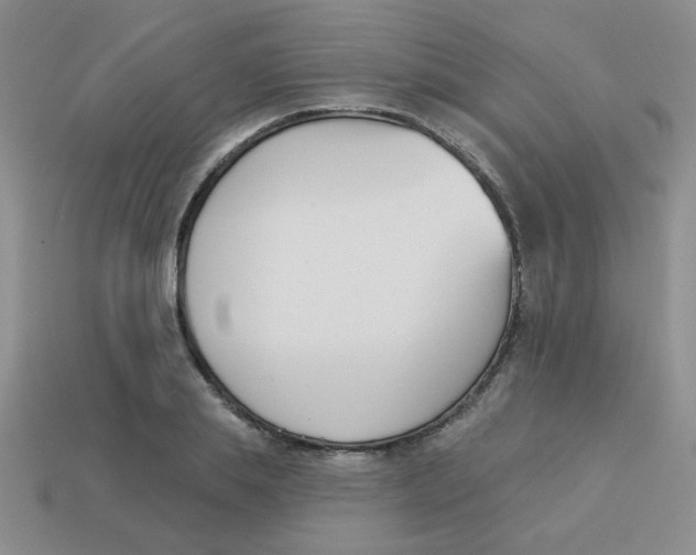 X0000113360839200910131258