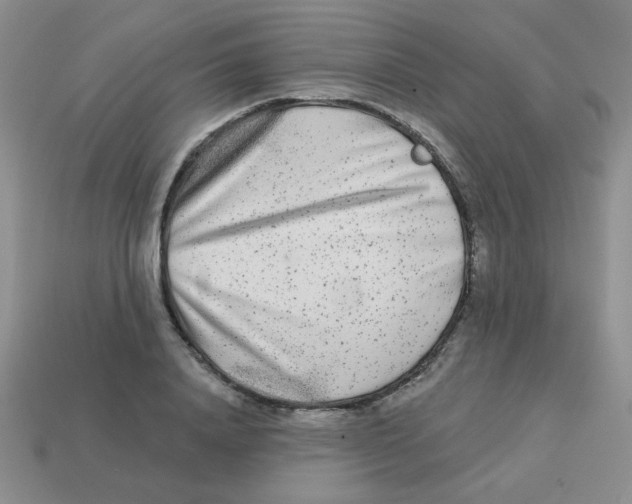 X0000113360840200910131258