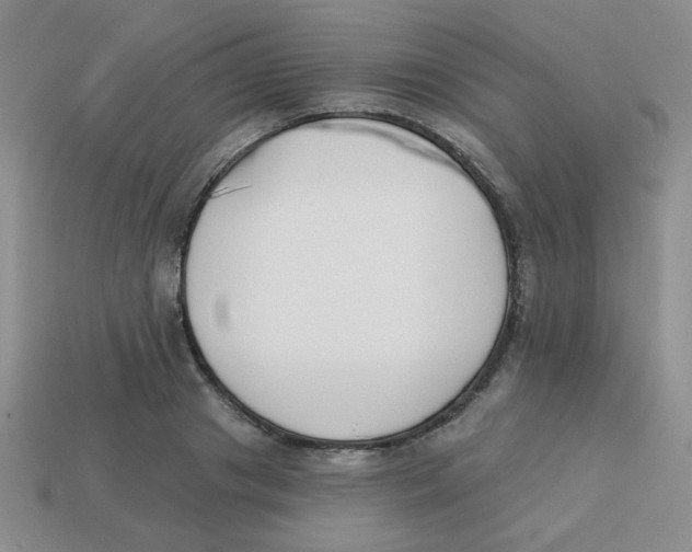 X0000113360841200910131258