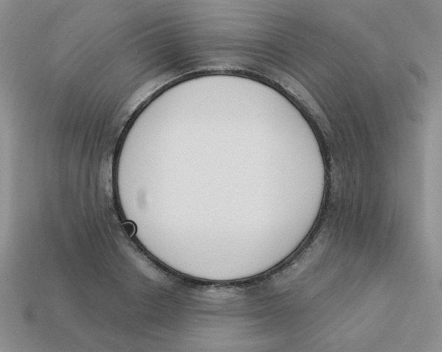 X0000113360842200910131258