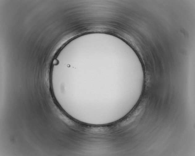 X0000113360843200910131258