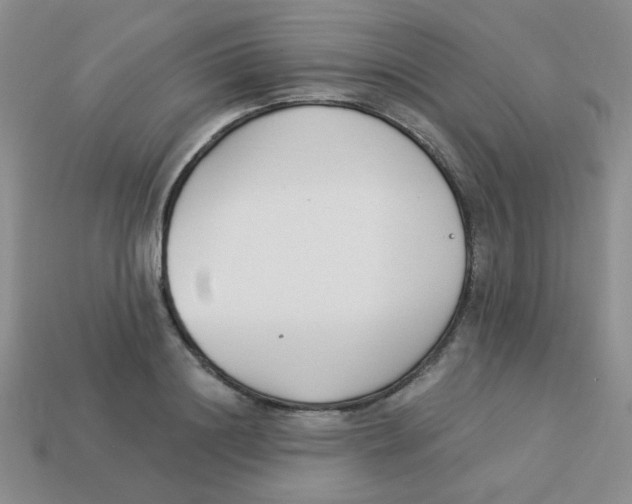 X0000113360844200910131258