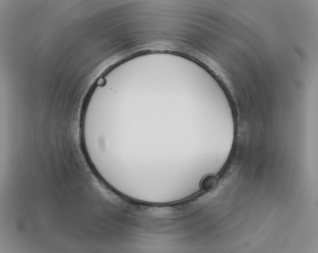 X0000113360845200910131258