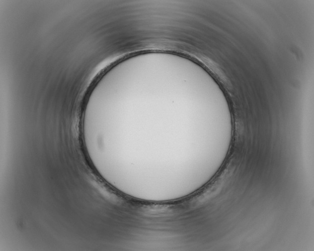 X0000113360846200910131258