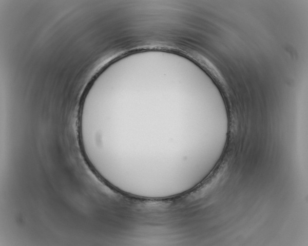 X0000113360847200910131258