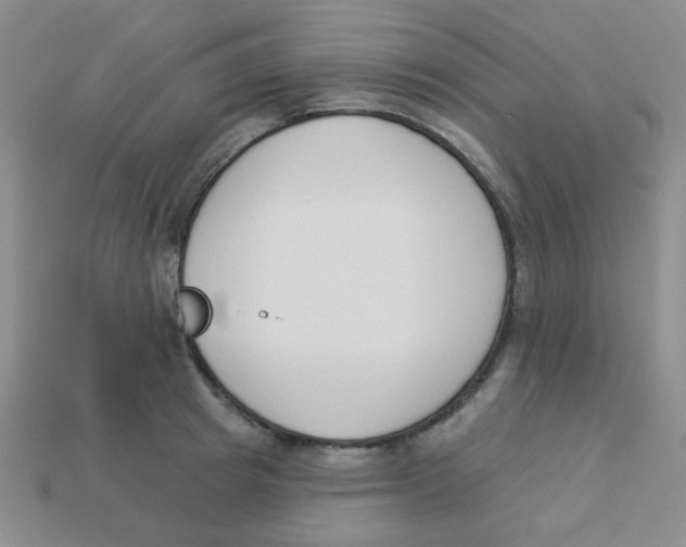 X0000113360849200910131258