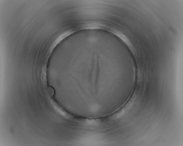 X0000113360850200910131258