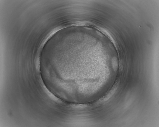 X0000113360851200910131258