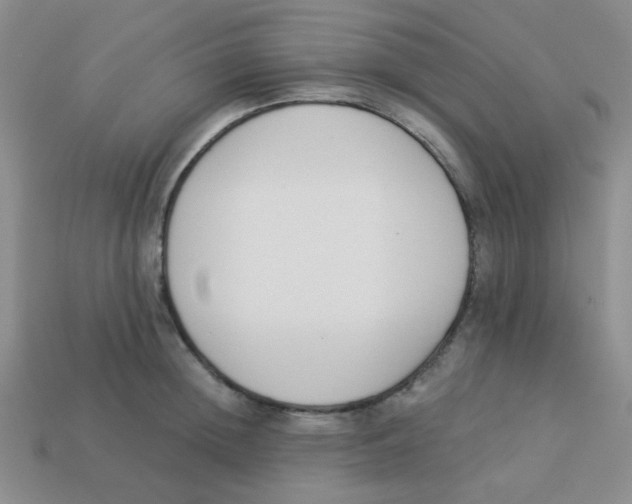 X0000113360852200910131258