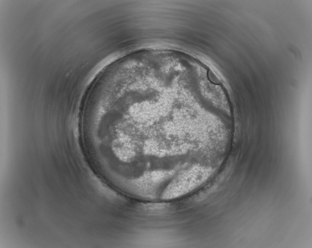 X0000113360853200910131258
