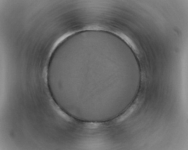 X0000113360854200910131258