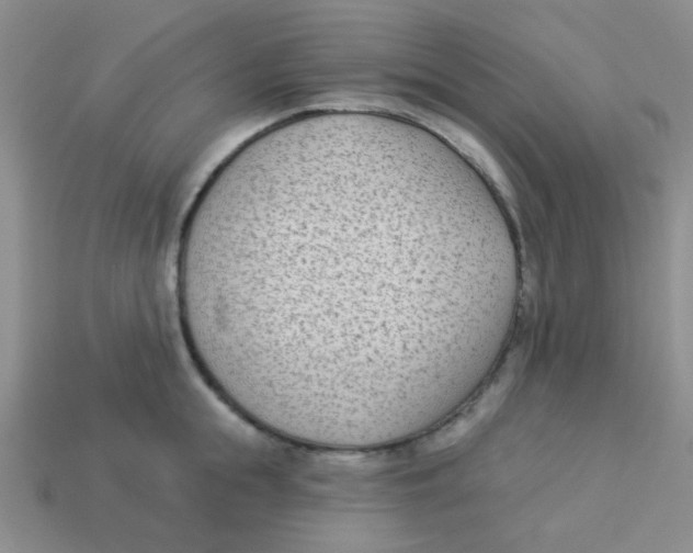 X0000113360855200910131259