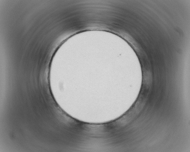 X0000113360856200910131259